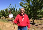 5-14-17 Cherry Picking